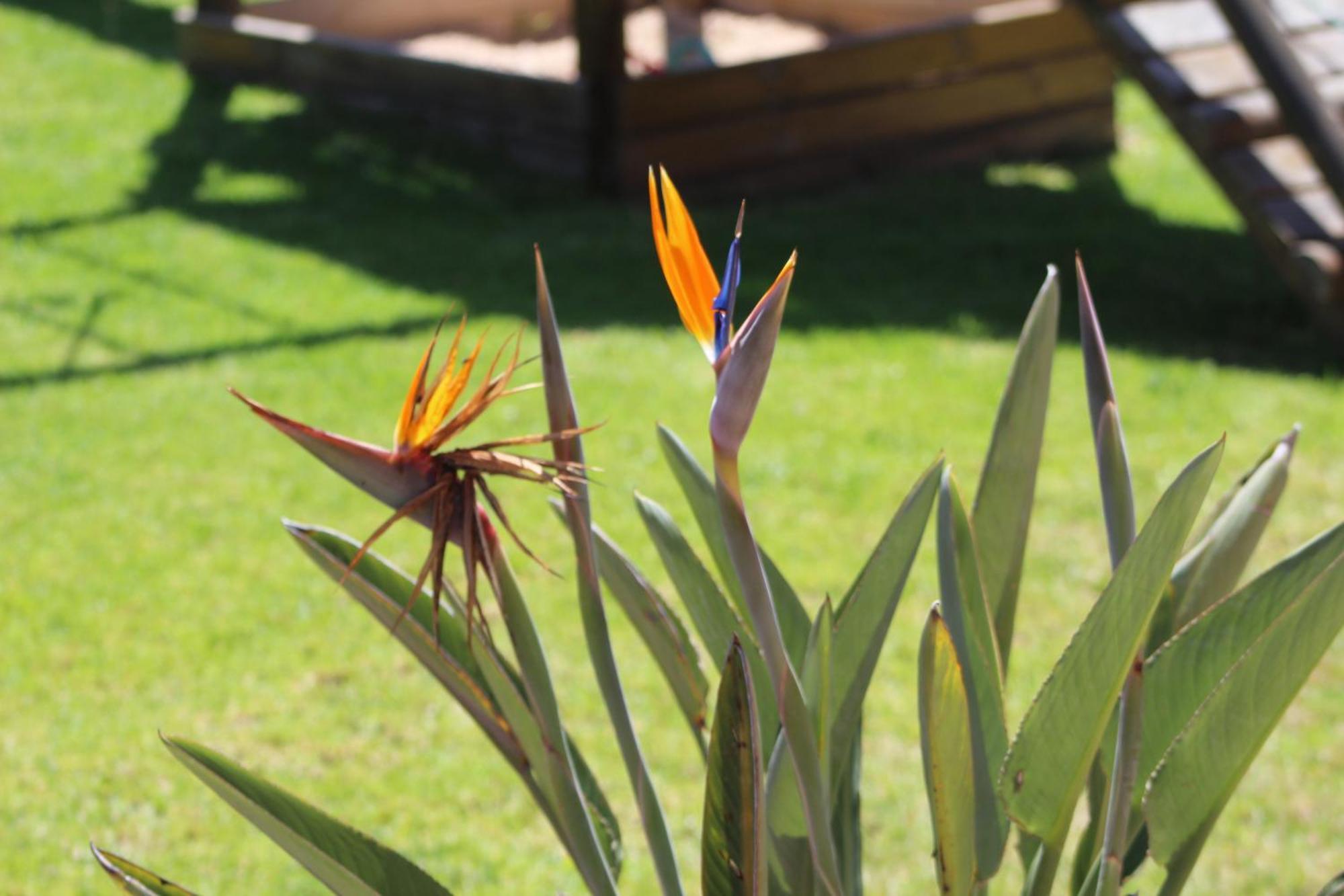 Hartenbos Private Game Lodge Εξωτερικό φωτογραφία