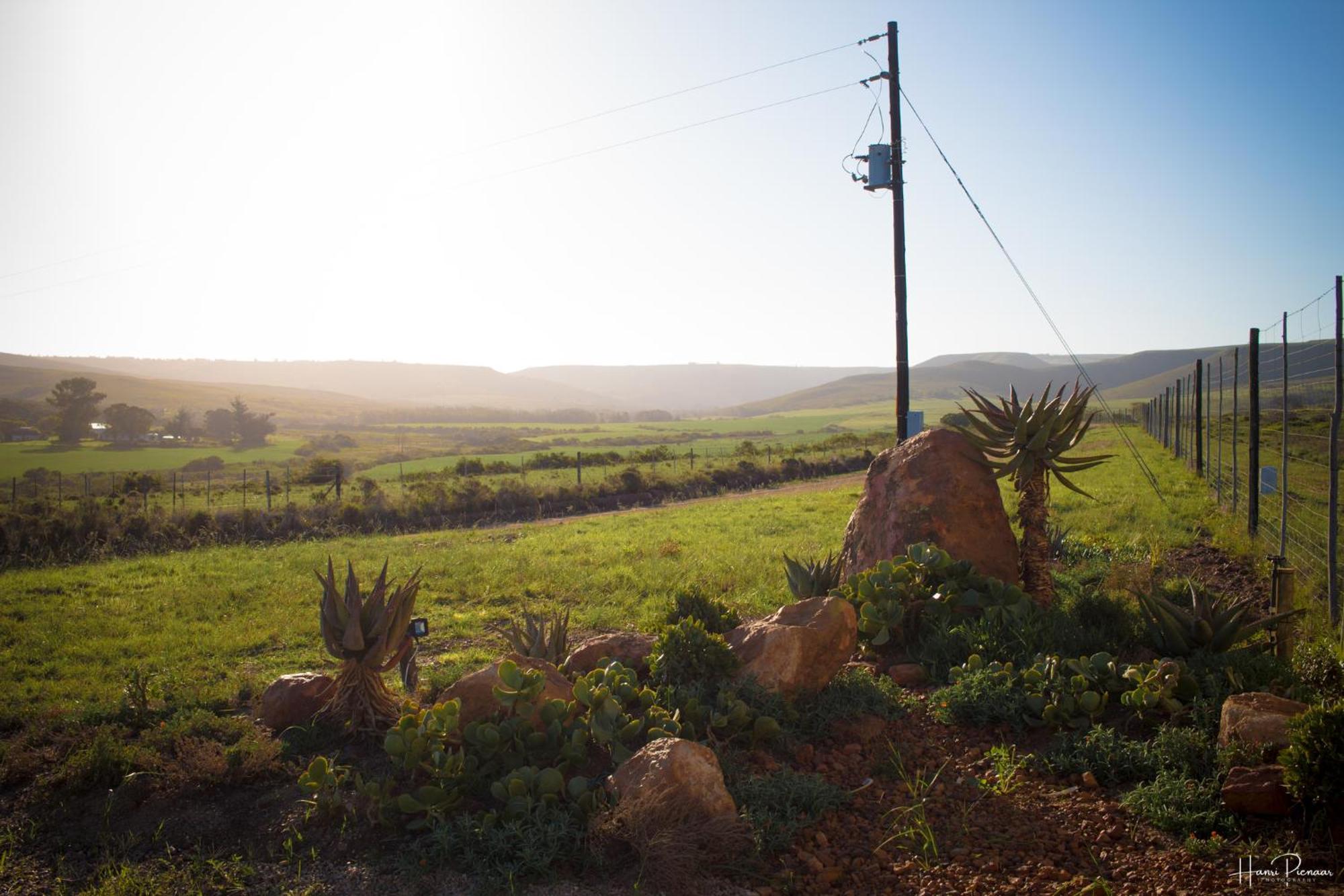 Hartenbos Private Game Lodge Εξωτερικό φωτογραφία