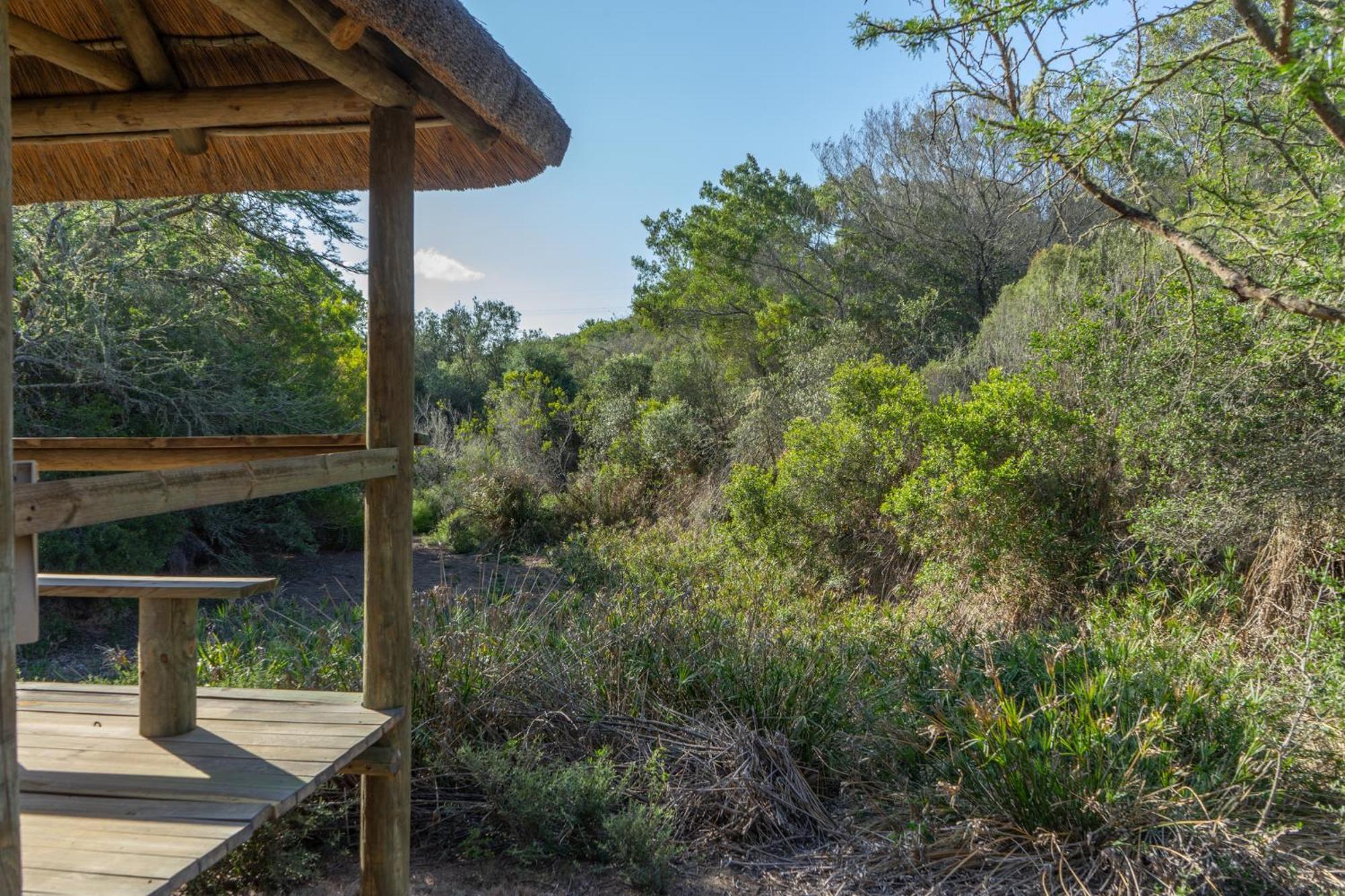 Hartenbos Private Game Lodge Εξωτερικό φωτογραφία